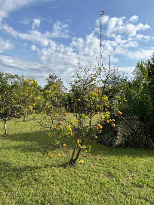 Rancho Jatobá
