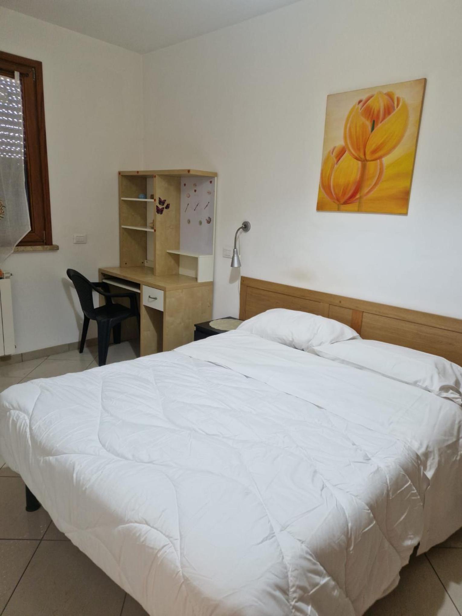 Affitto bilocale Pomezia view 4