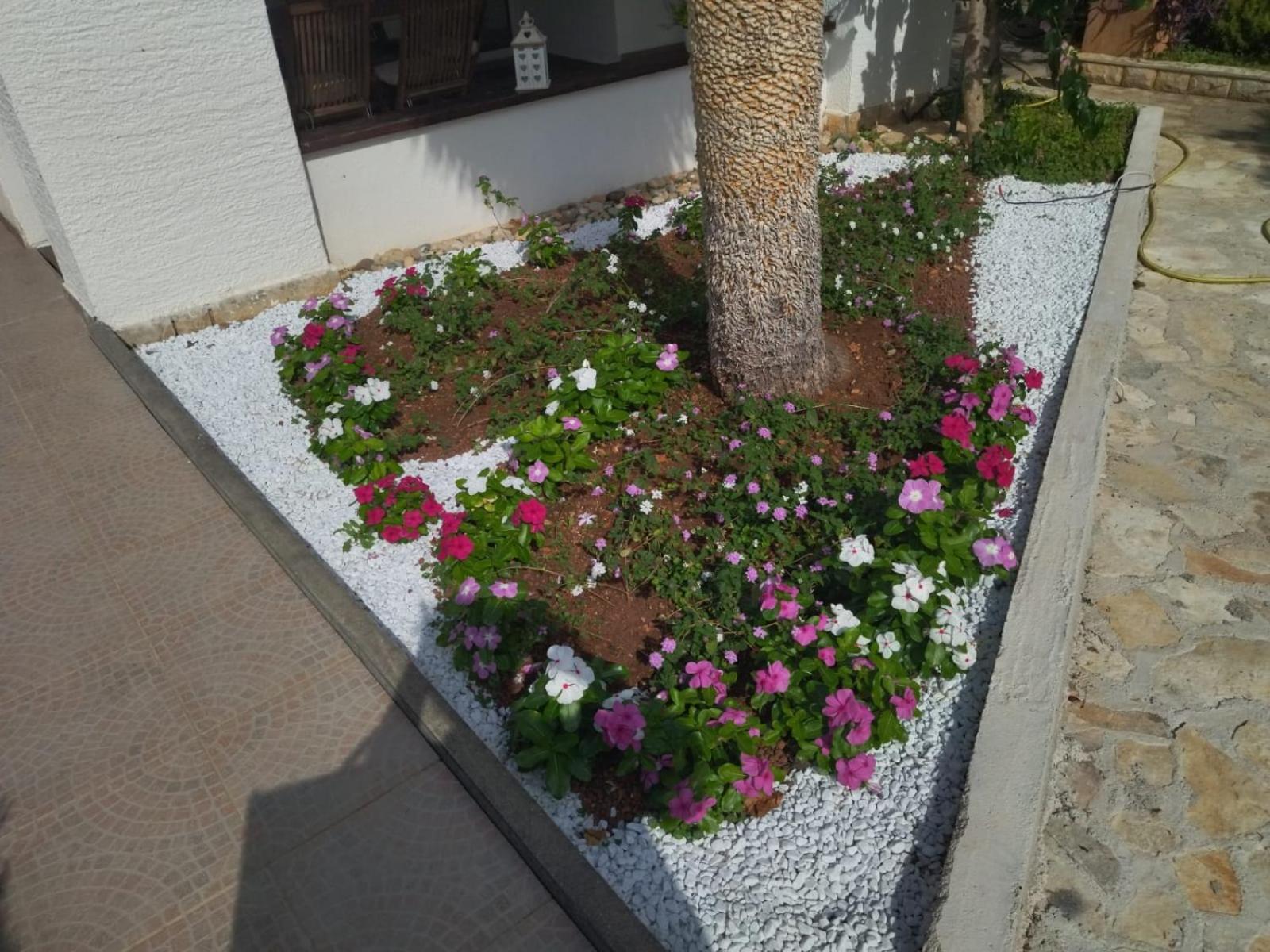 Apartments Villa Šeni