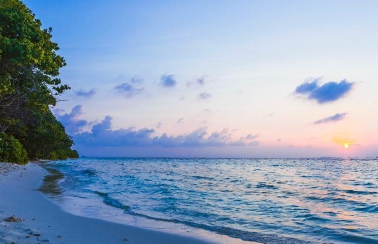 Biosphere by Hawks Hotels Kamadhoo Baa Atoll view 5
