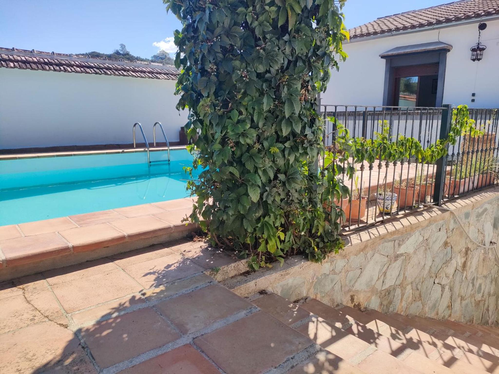 Chalet Rafael Constantina