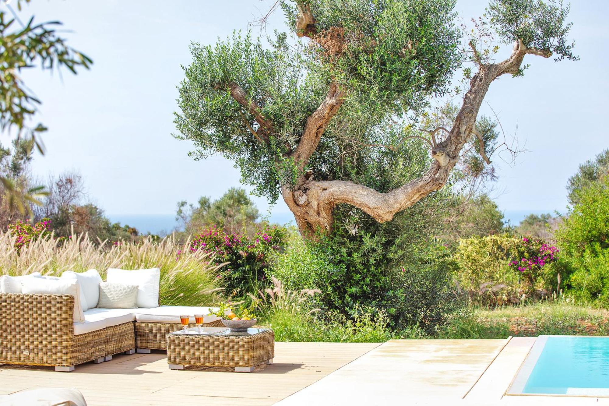 Luxury sea villa with pool near SM di Leuca view 5