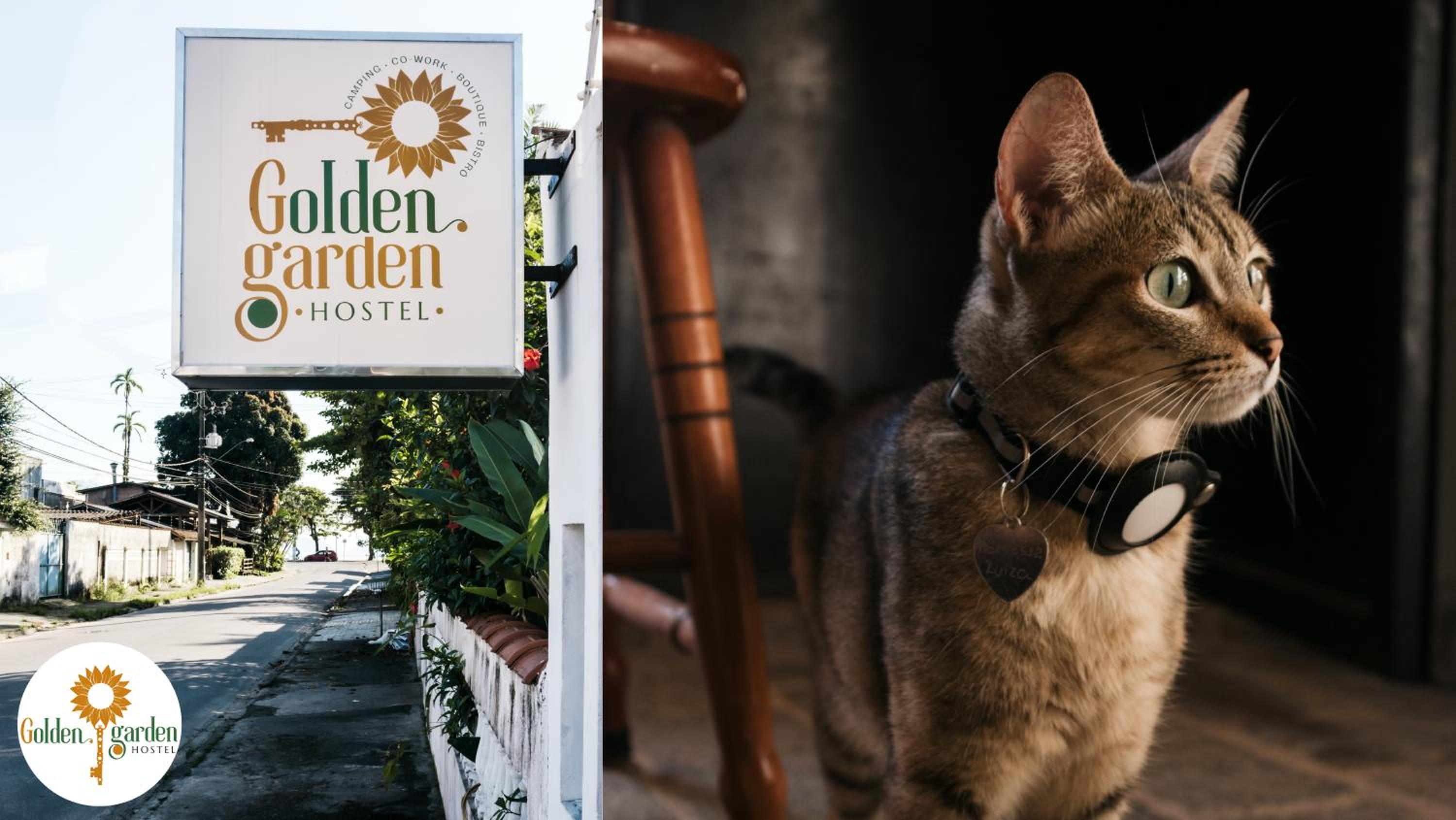 Golden Garden Hostel