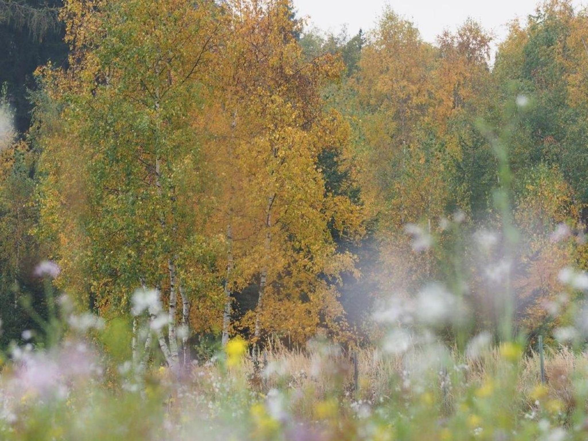 Jutta´s Ferientraum