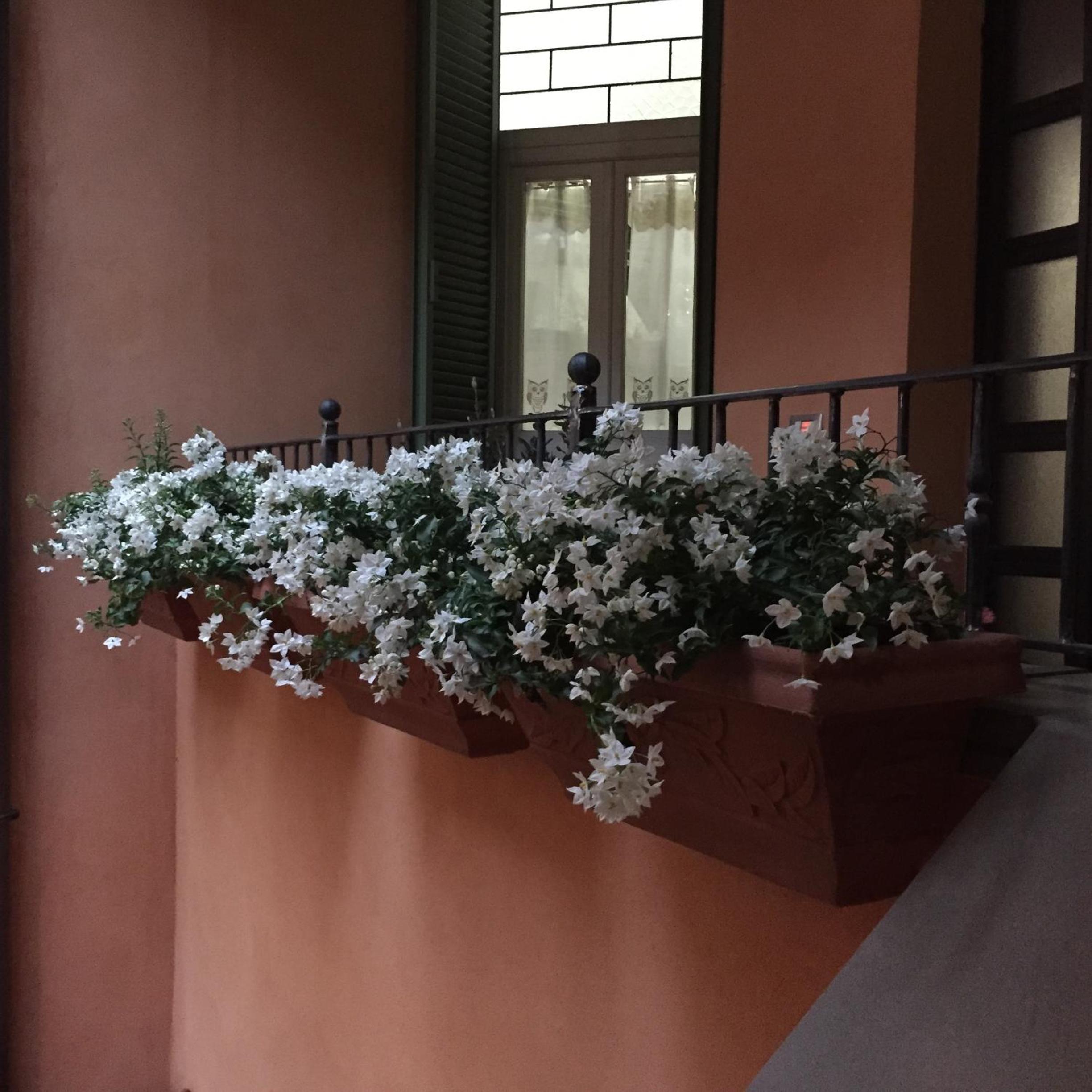 Casa di Emanuela view 5