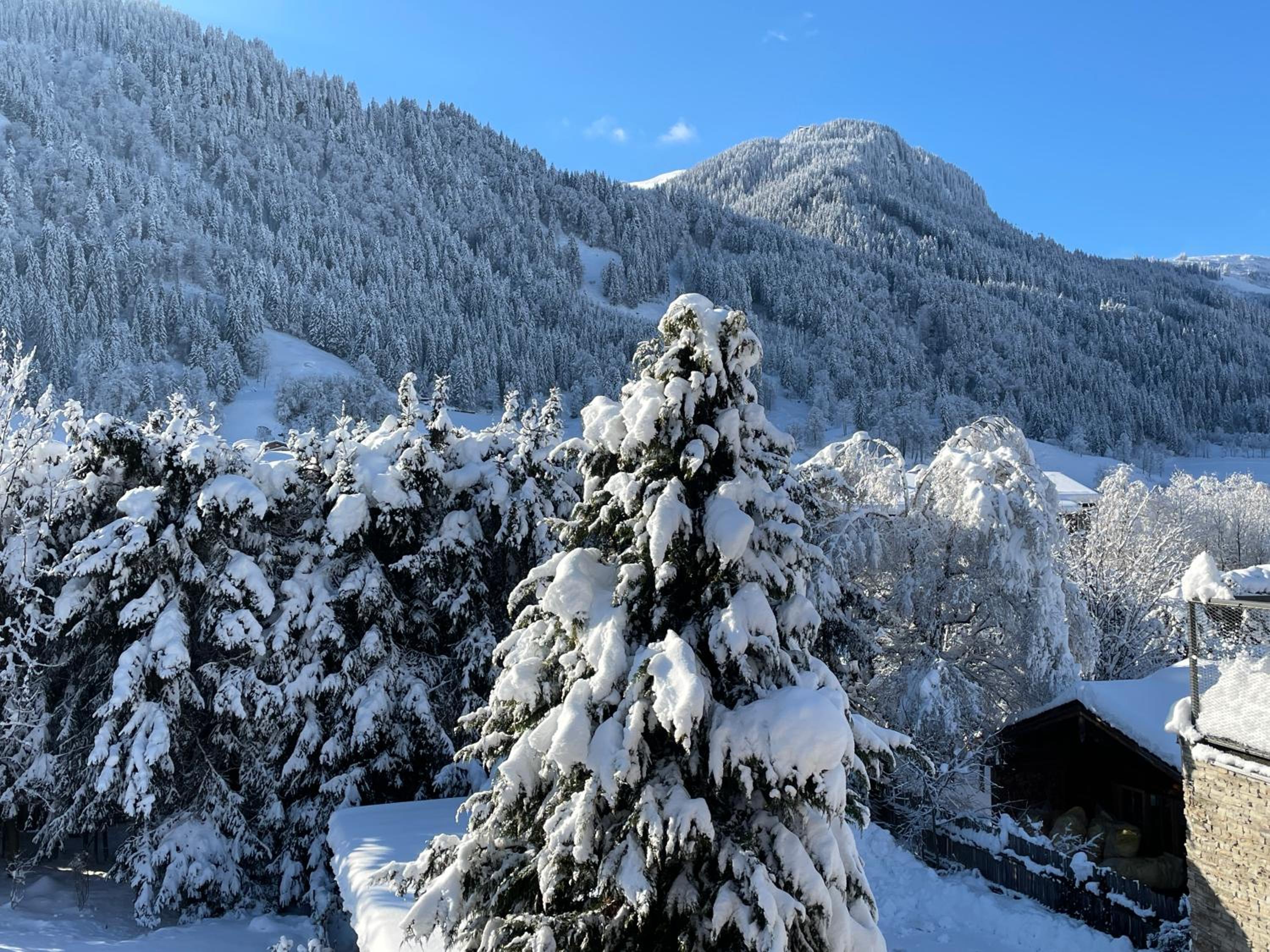 Bacherwiese Penthouse by Alpine Host Helpers