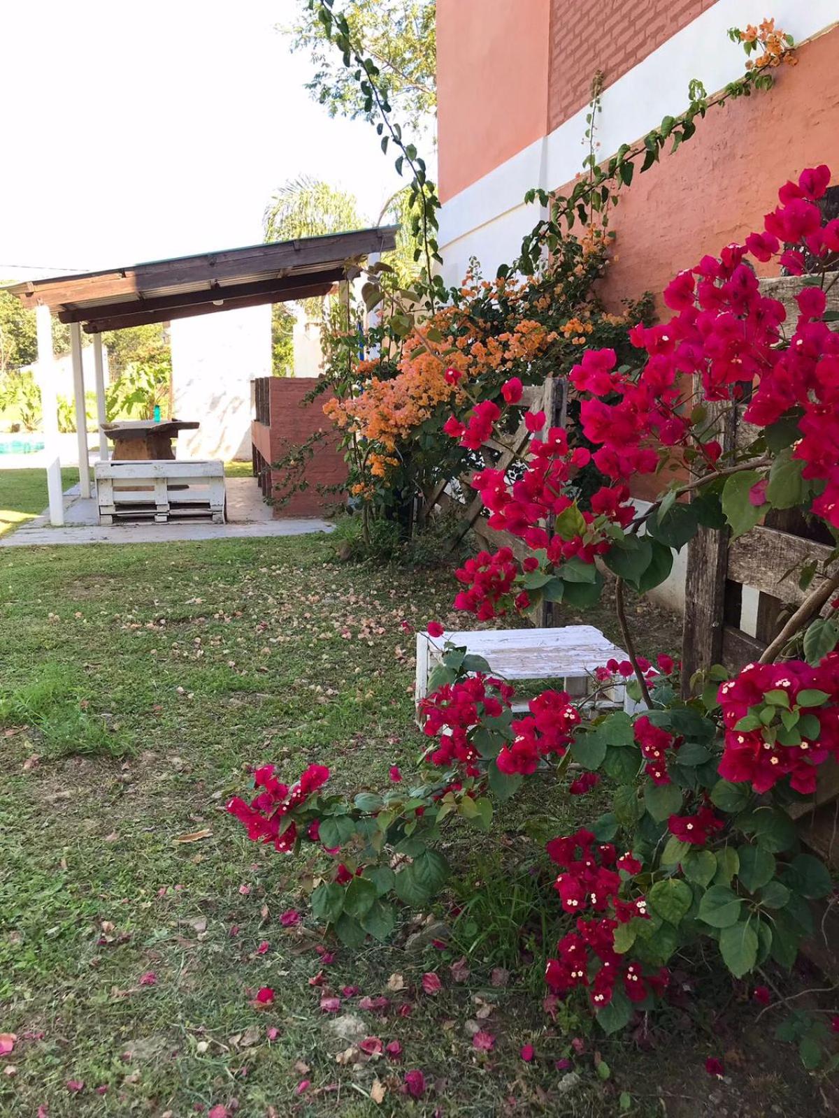 Cabañas El Chogüí