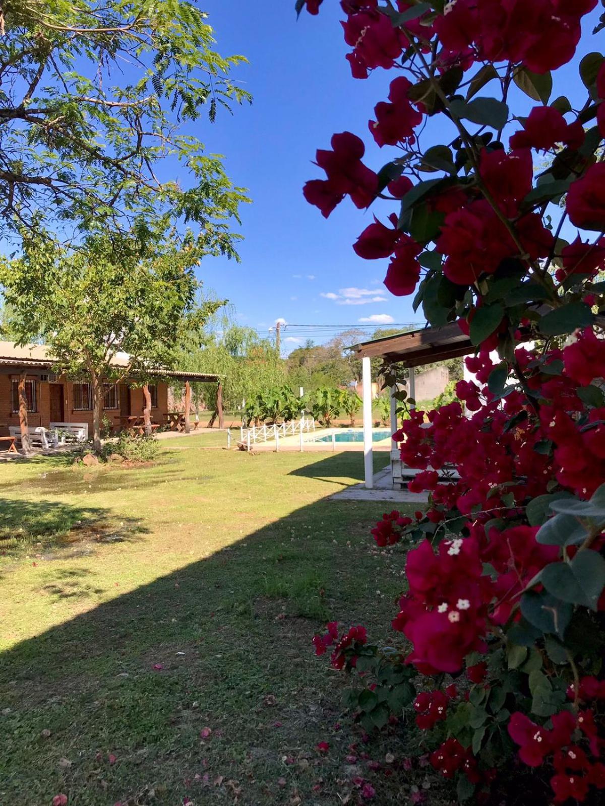 Cabañas El Chogüí