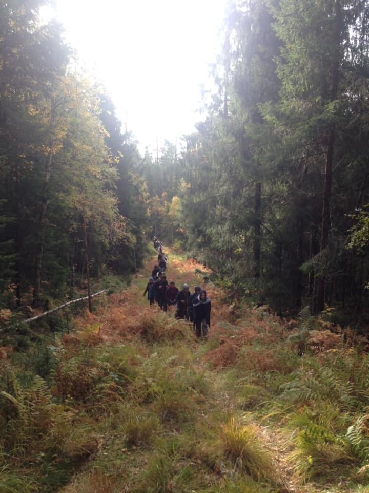 Skogsro Forest Hostel