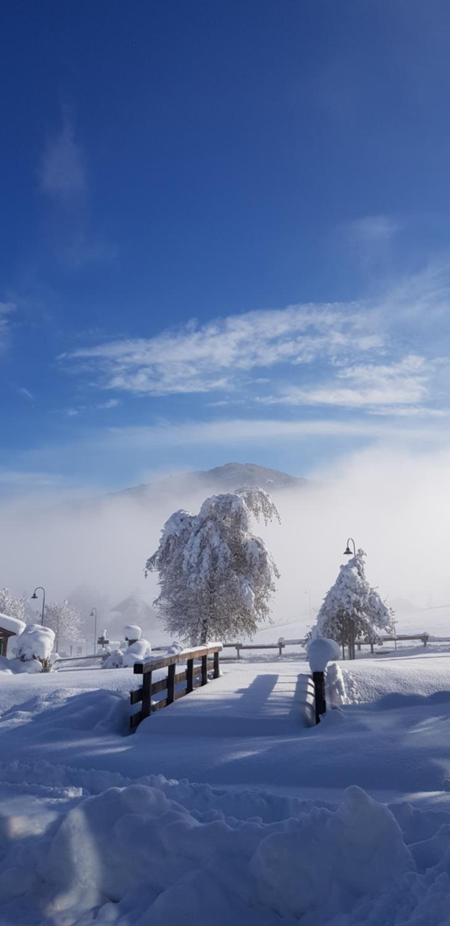Sportpension Alpenrose