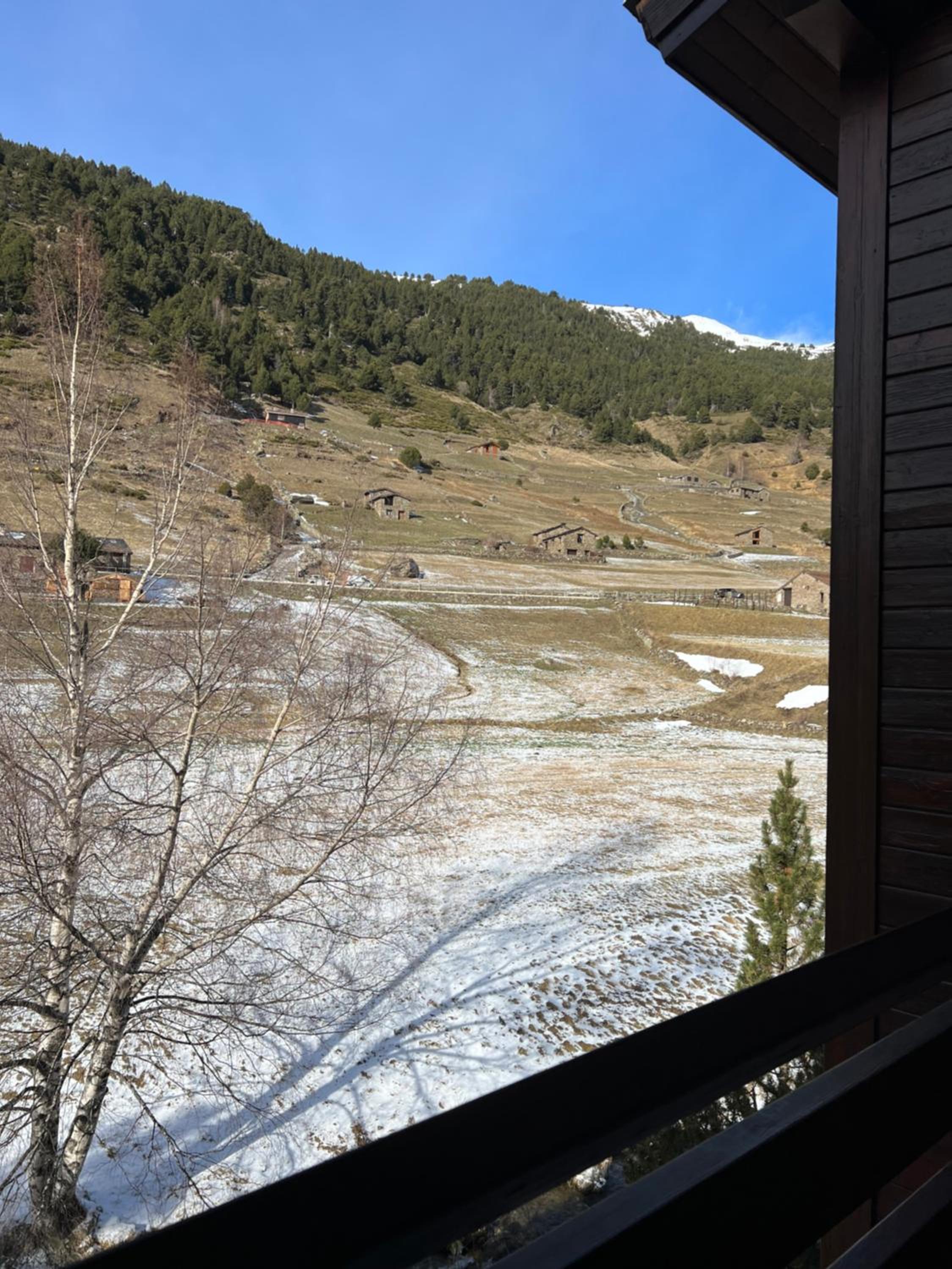 L'ORENETA - Peu del Riu 712 - Vall d'Incles - Soldeu Hut 8367