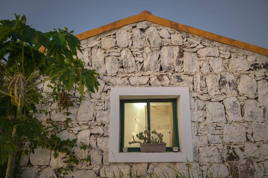 Casa Aloé Vera - Private House w/ free Breakfast