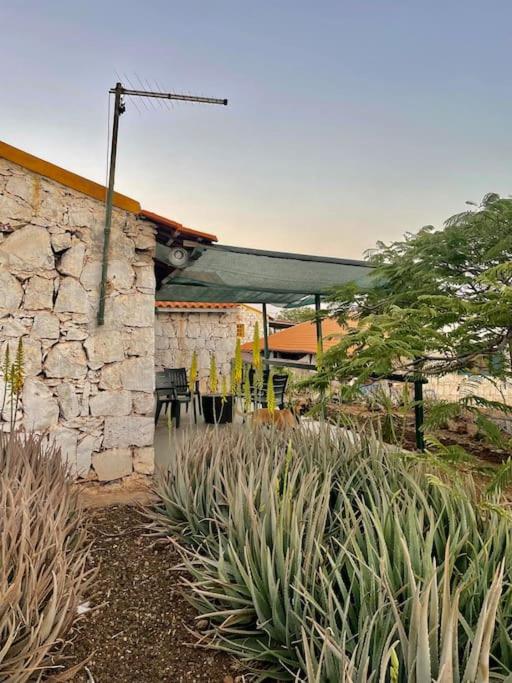 Casa Aloé Vera - Private House w/ free Breakfast