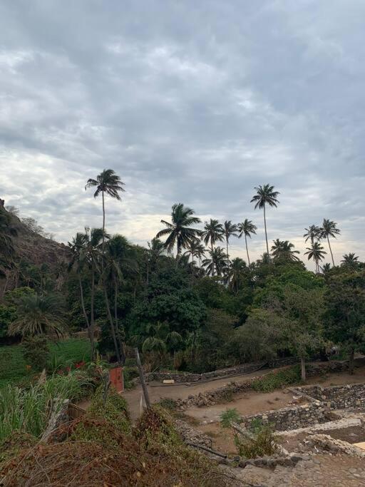 Casa Aloé Vera - Private House w/ free Breakfast