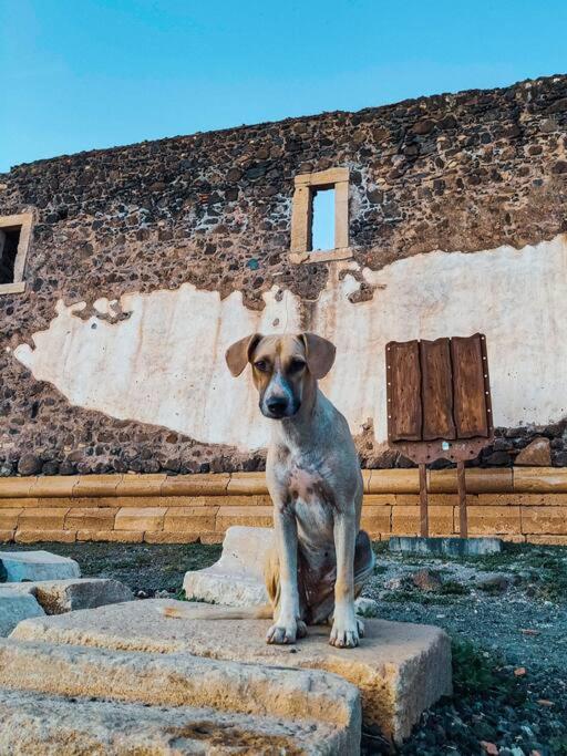 Casa Aloé Vera - Private House w/ free Breakfast