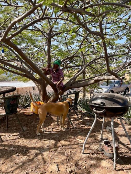 Casa Aloé Vera - Private House w/ free Breakfast