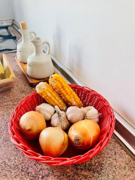 Casa Aloé Vera - Private House w/ free Breakfast