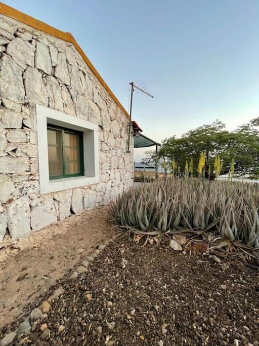 Casa Aloé Vera - Private House w/ free Breakfast