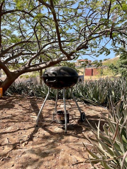 Casa Aloé Vera - Private House w/ free Breakfast
