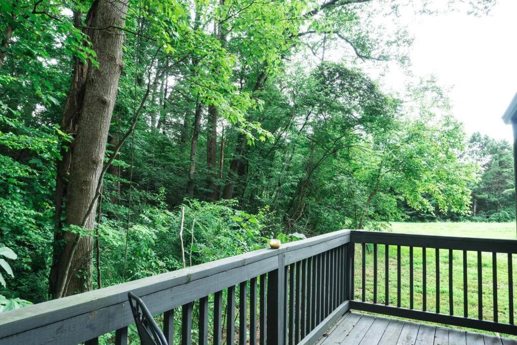 Tiny Home Cottage Near the Smokies #7 Tilly view 4