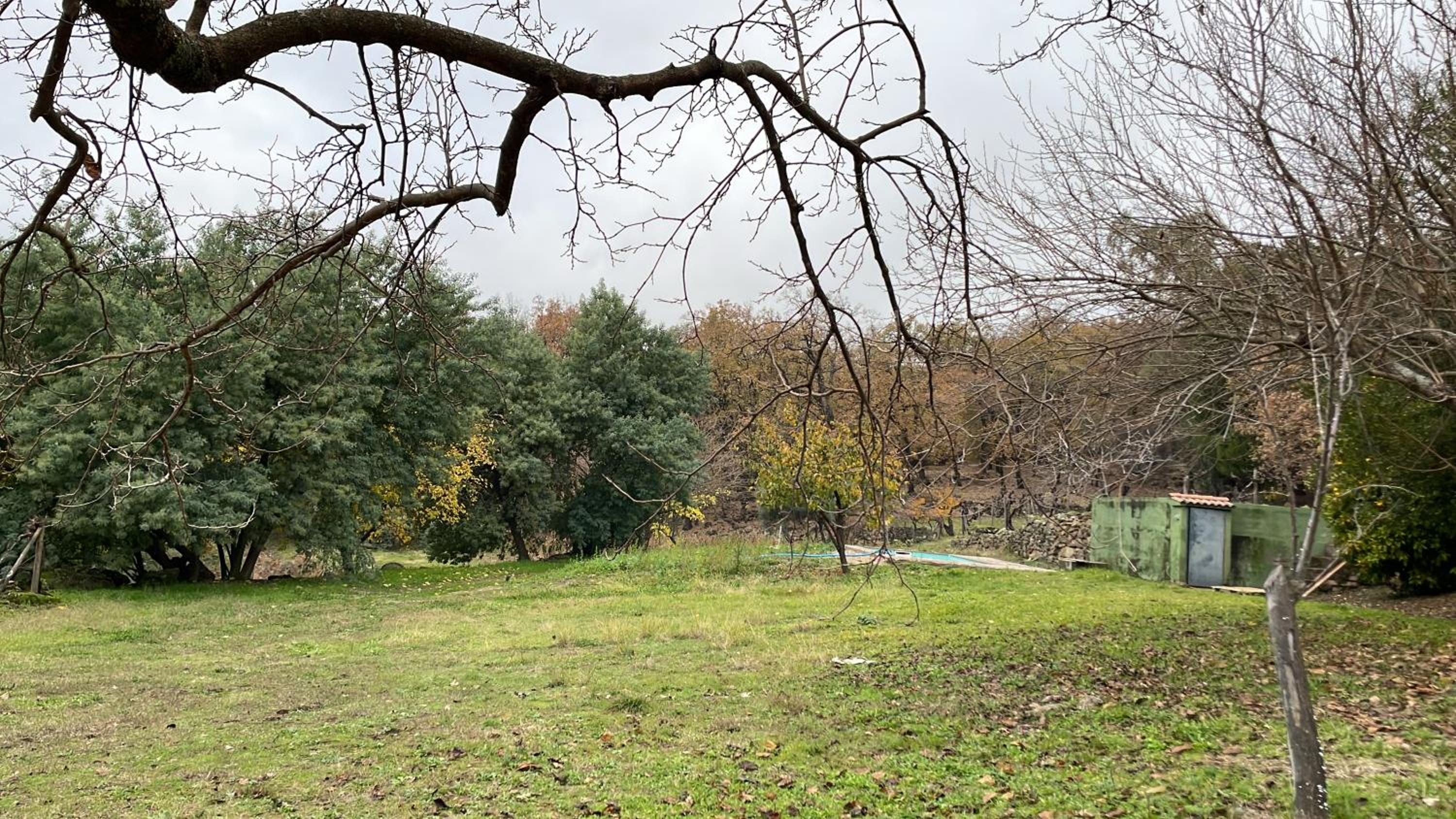 CASA PARVATHI CANDELEDA