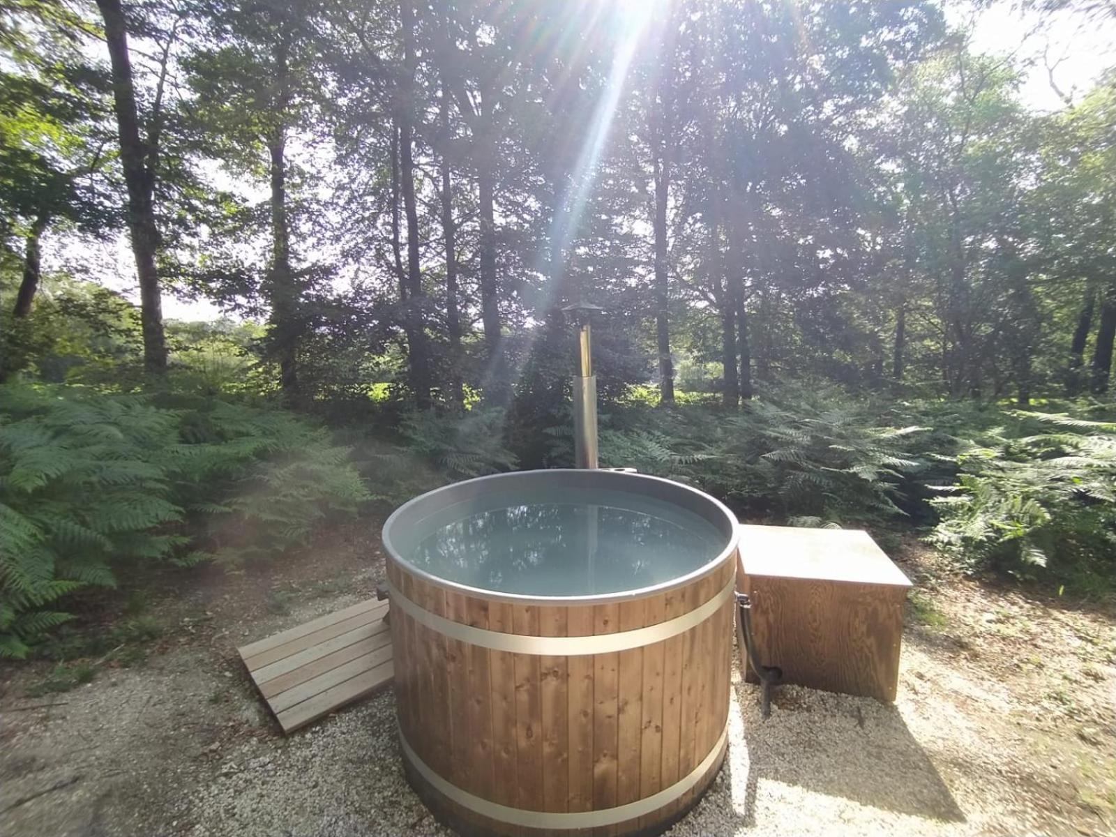L'étape en forêt