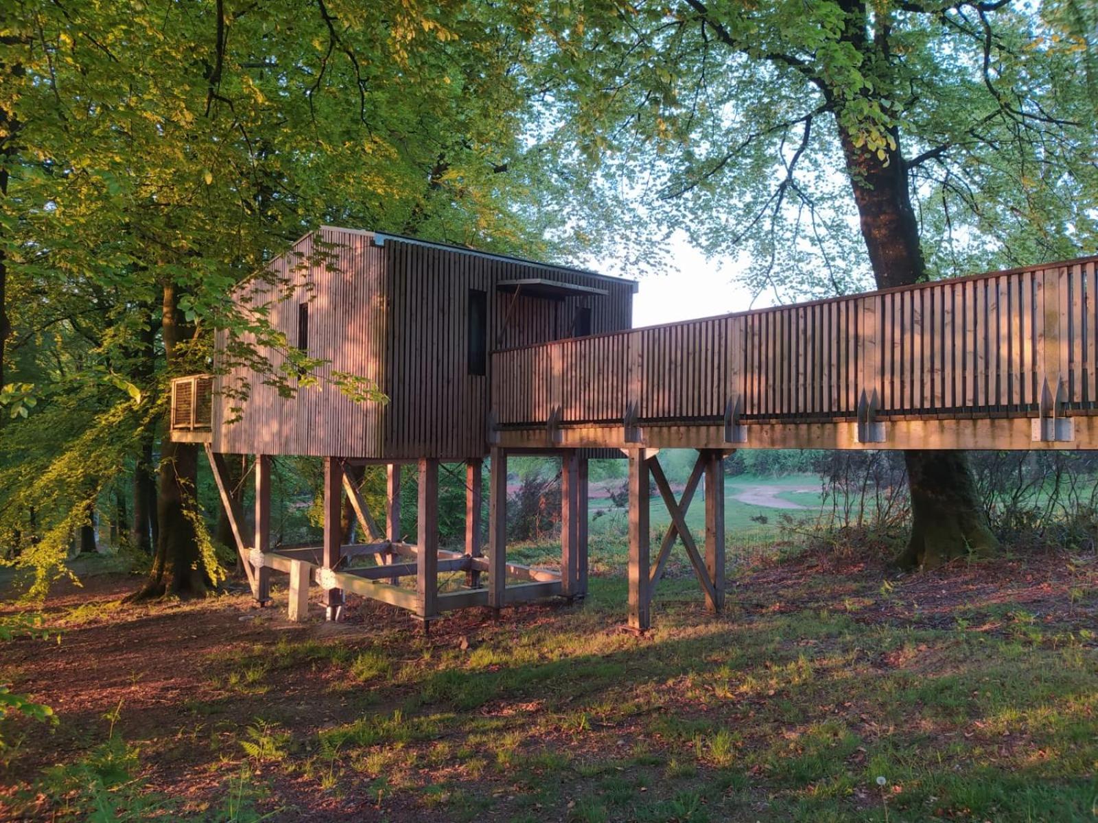 L'étape en forêt