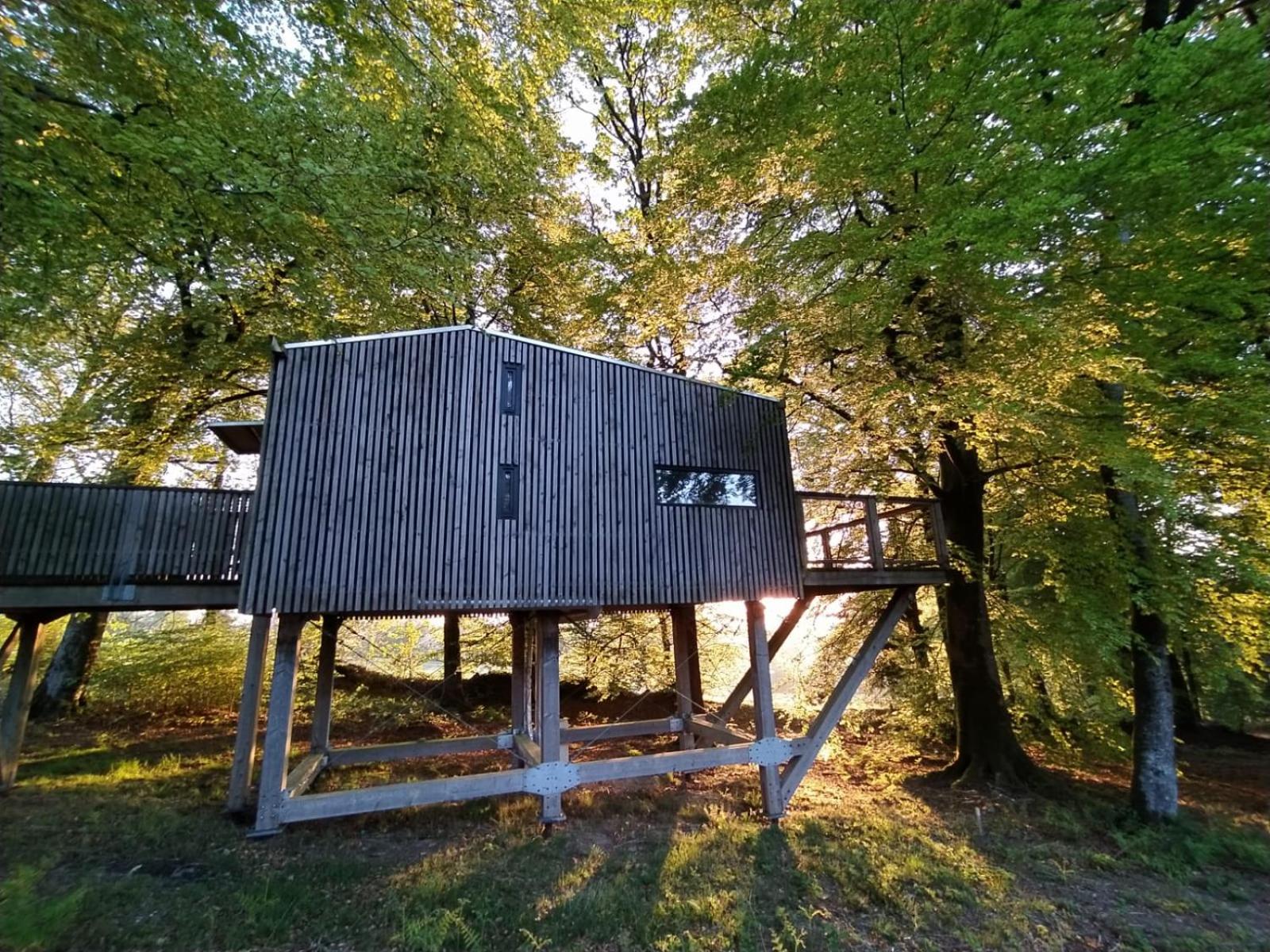 L'étape en forêt