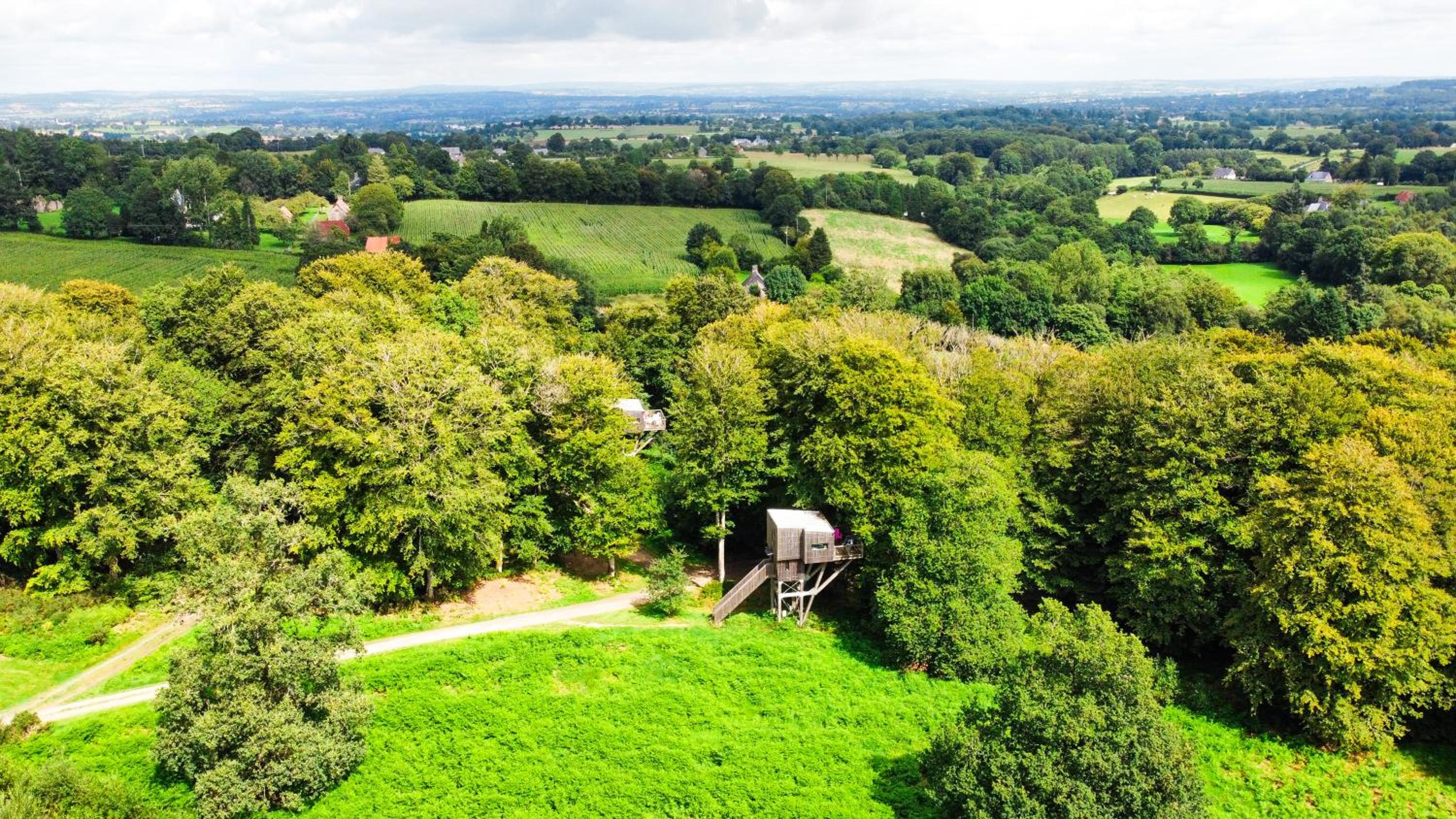 L'étape en forêt