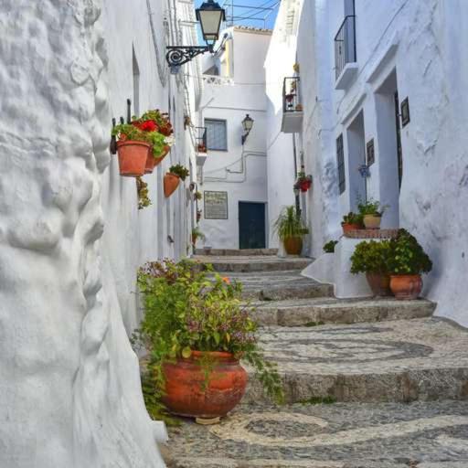 VISTA ALMIJARA