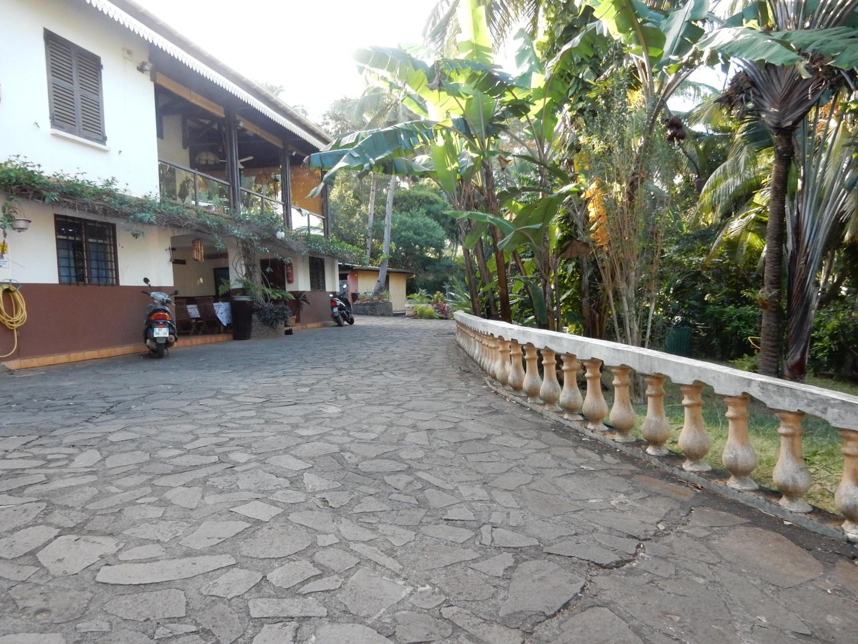 Photo 6