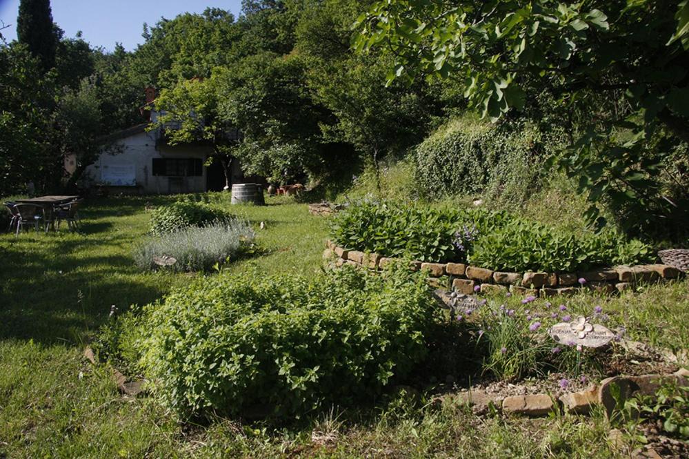 Photo 42