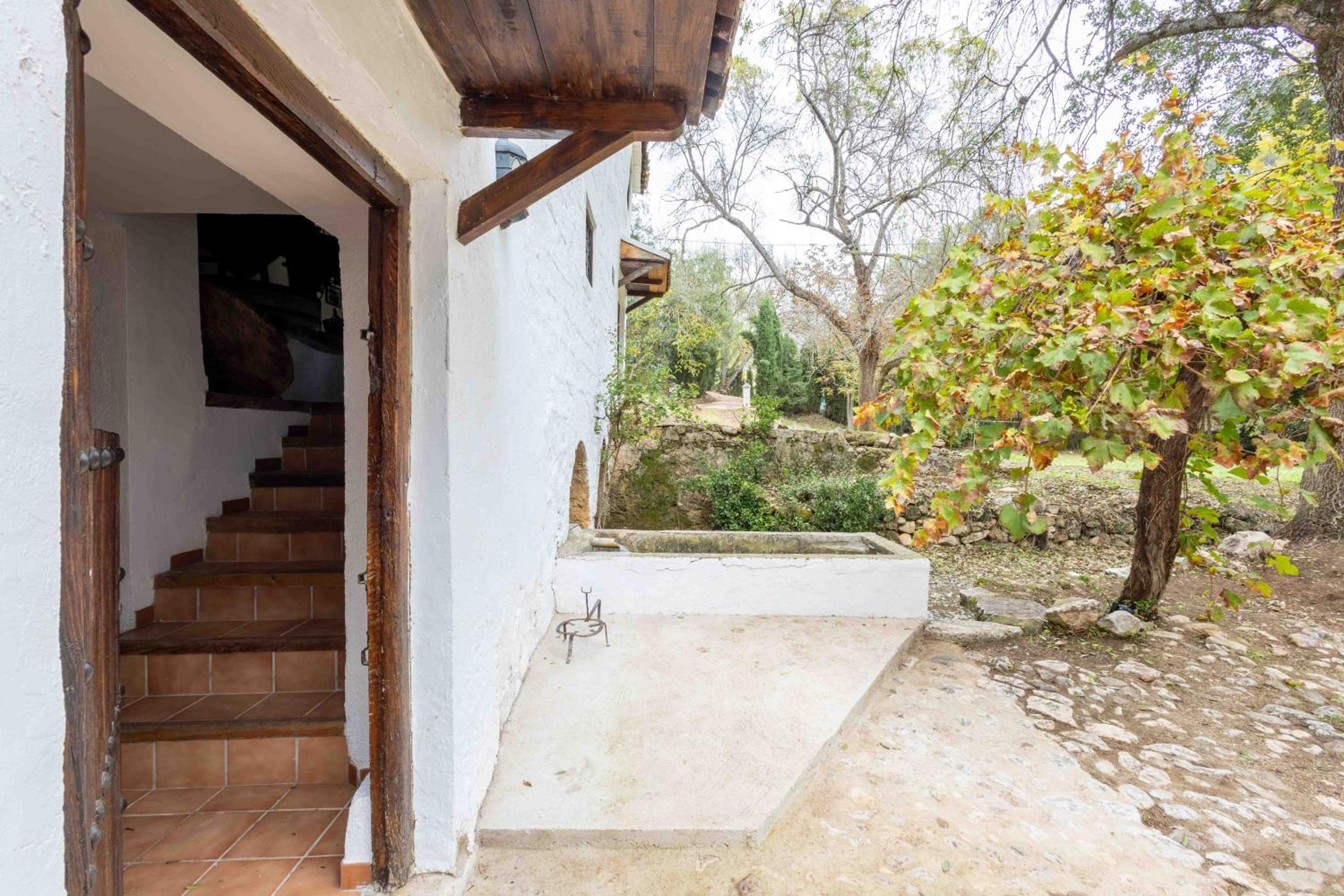 Molino de Gris Cazorla