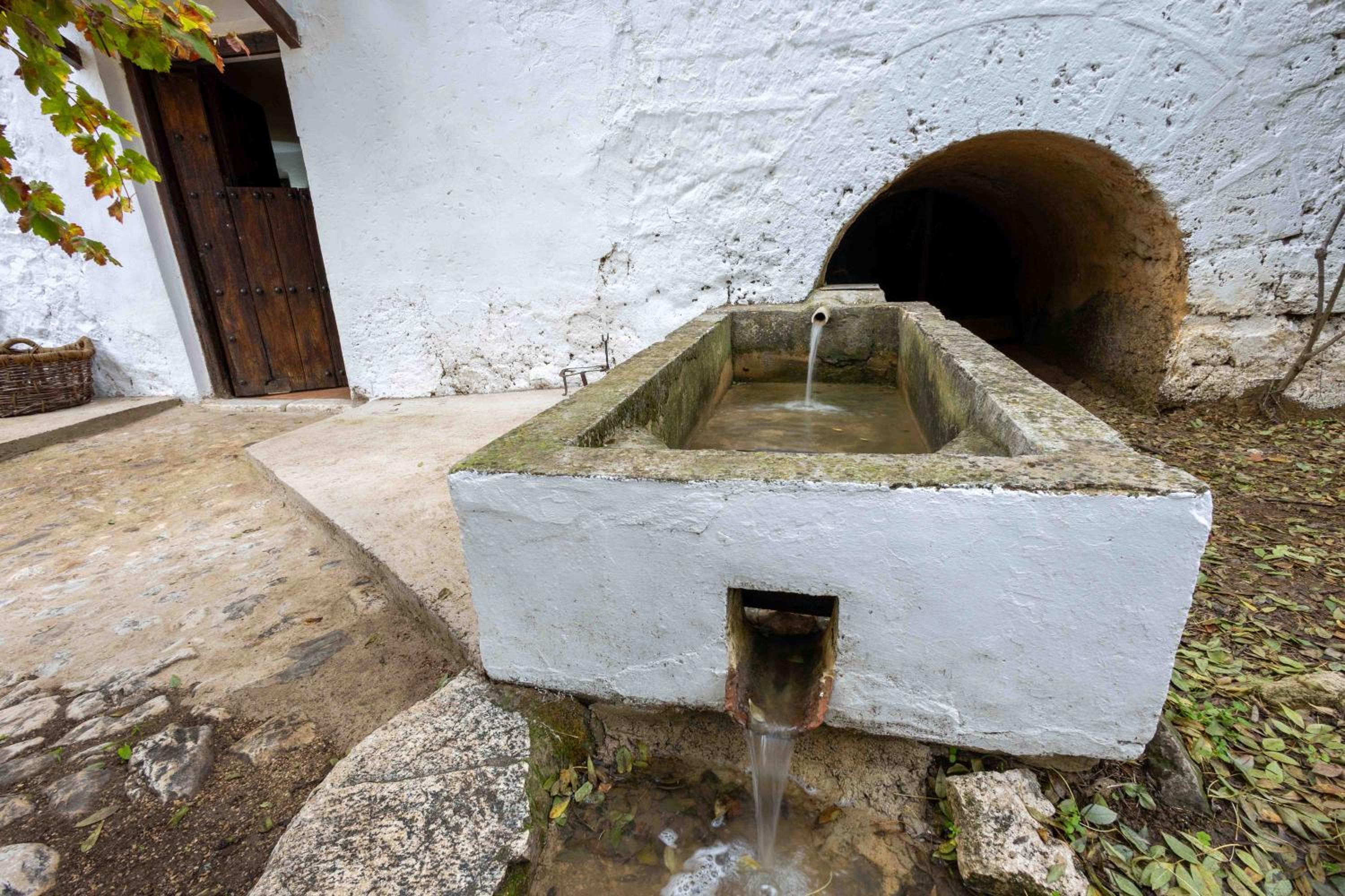 Molino de Gris Cazorla