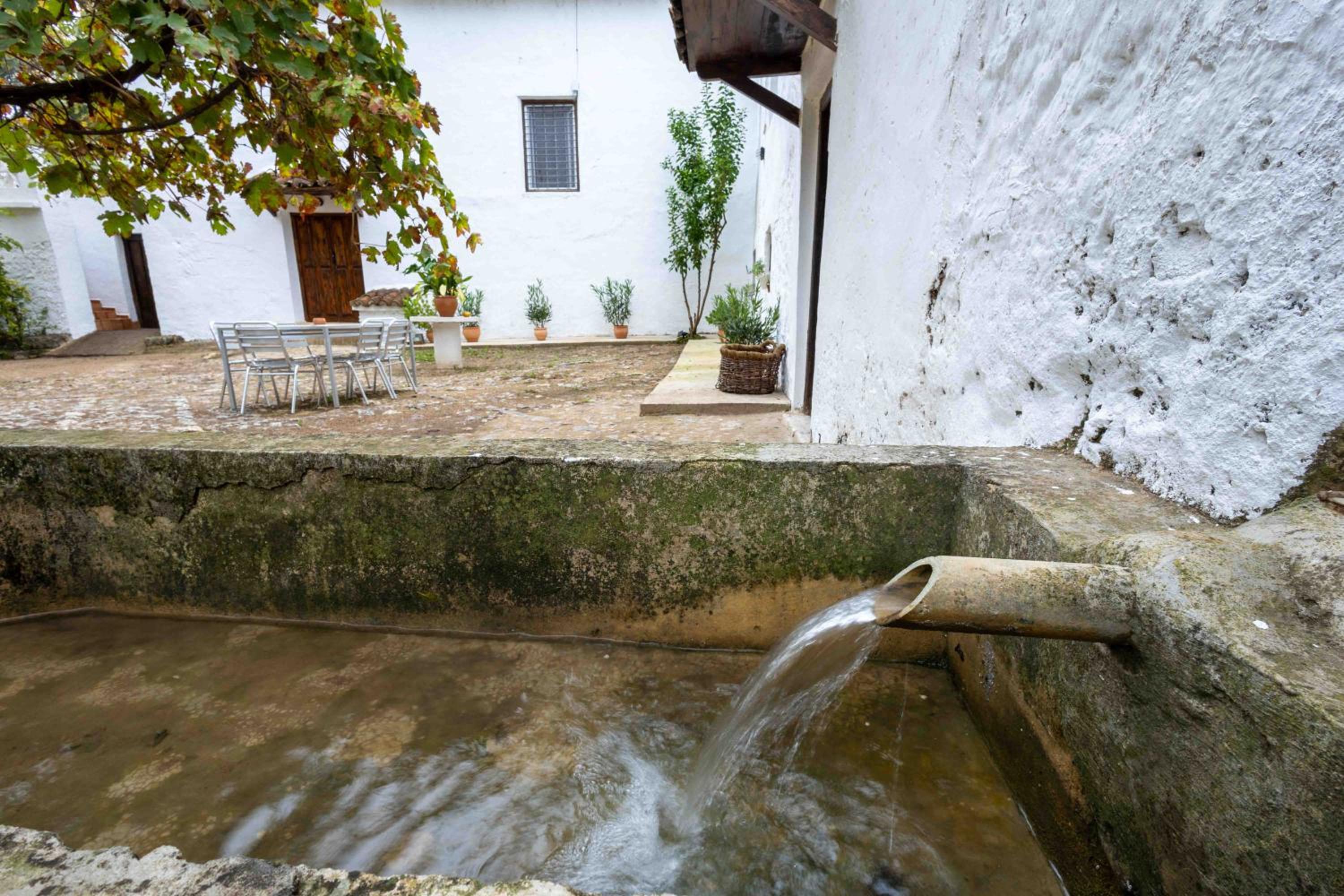 Molino de Gris Cazorla
