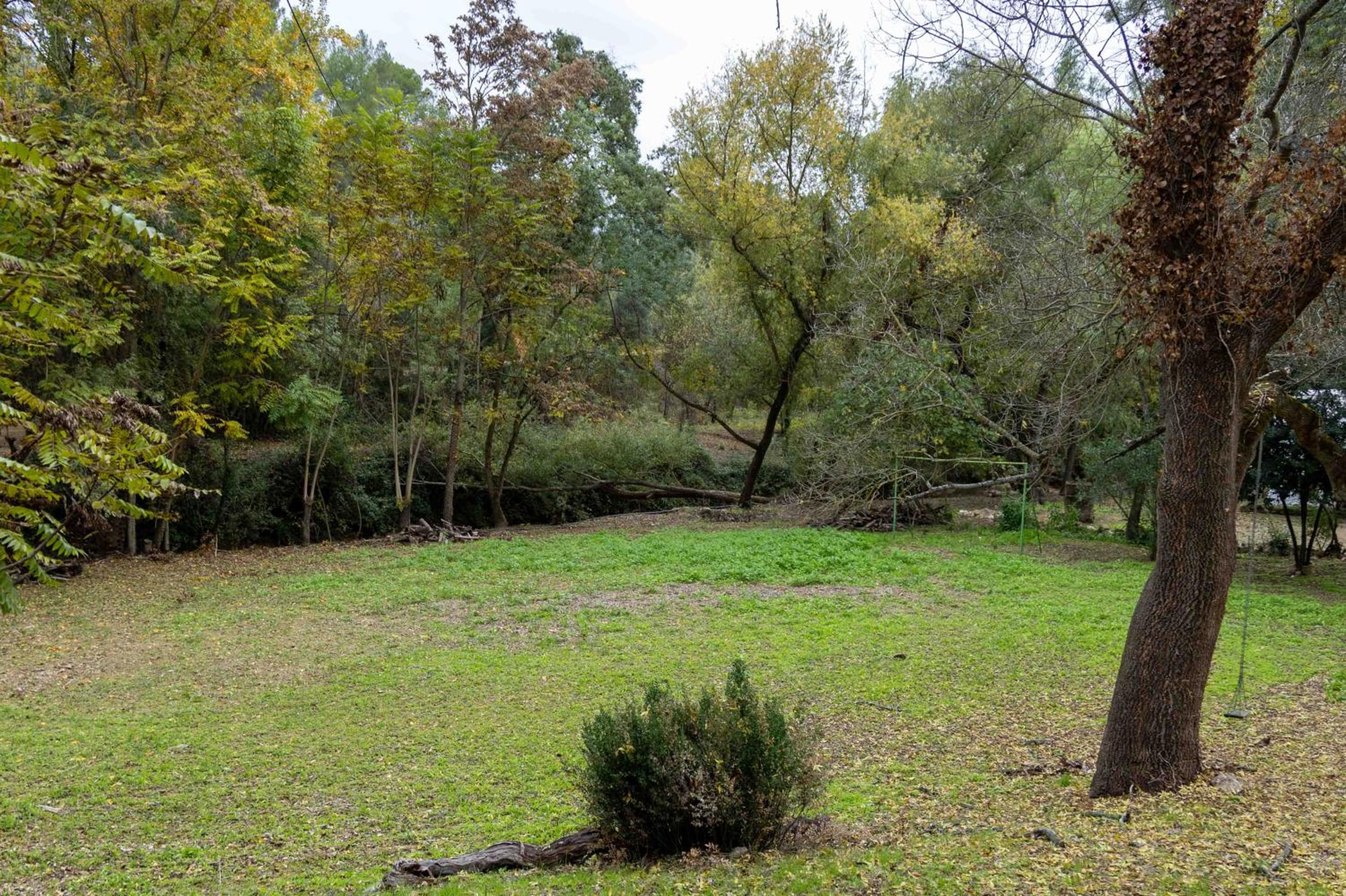 Molino de Gris Cazorla