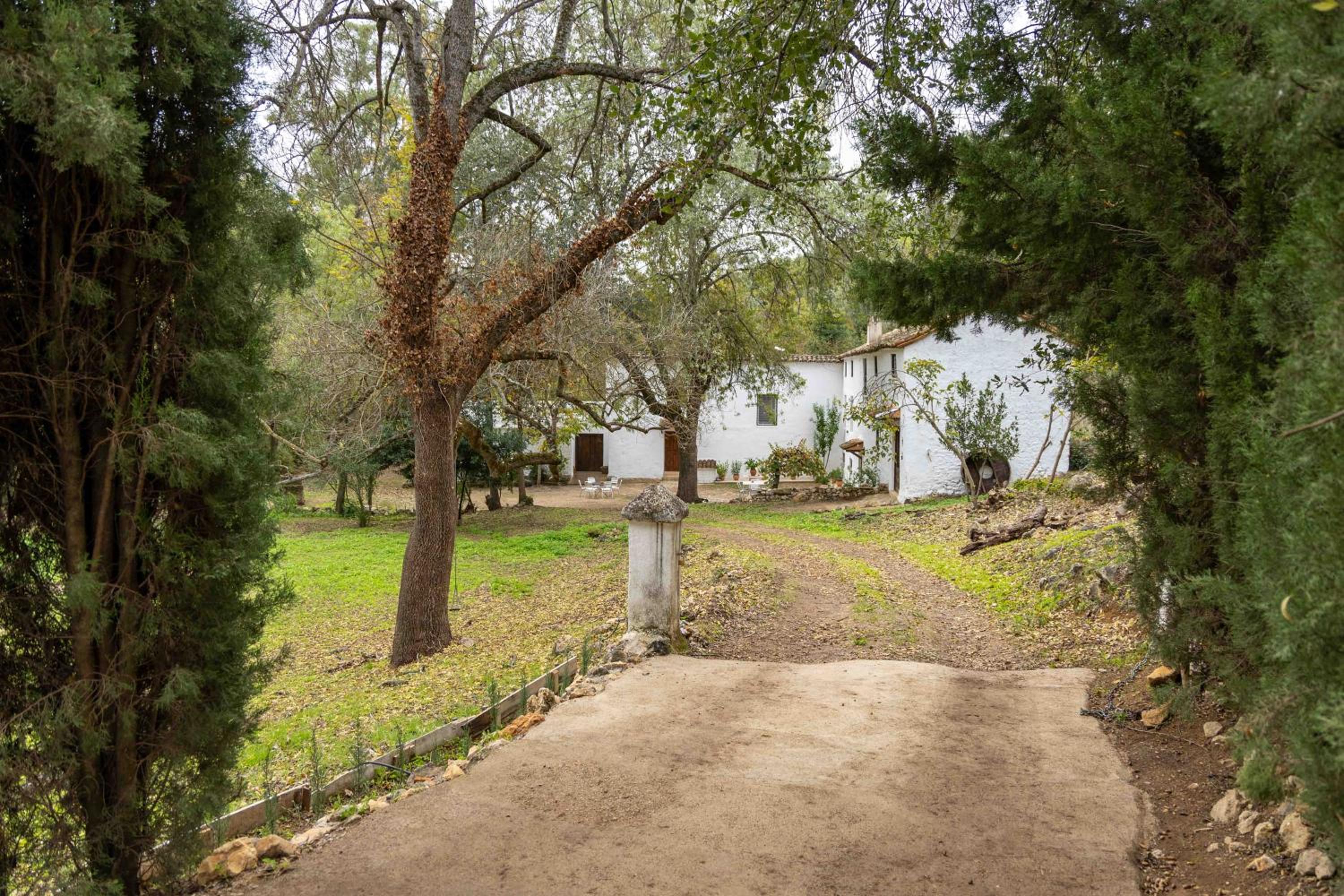 Molino de Gris Cazorla