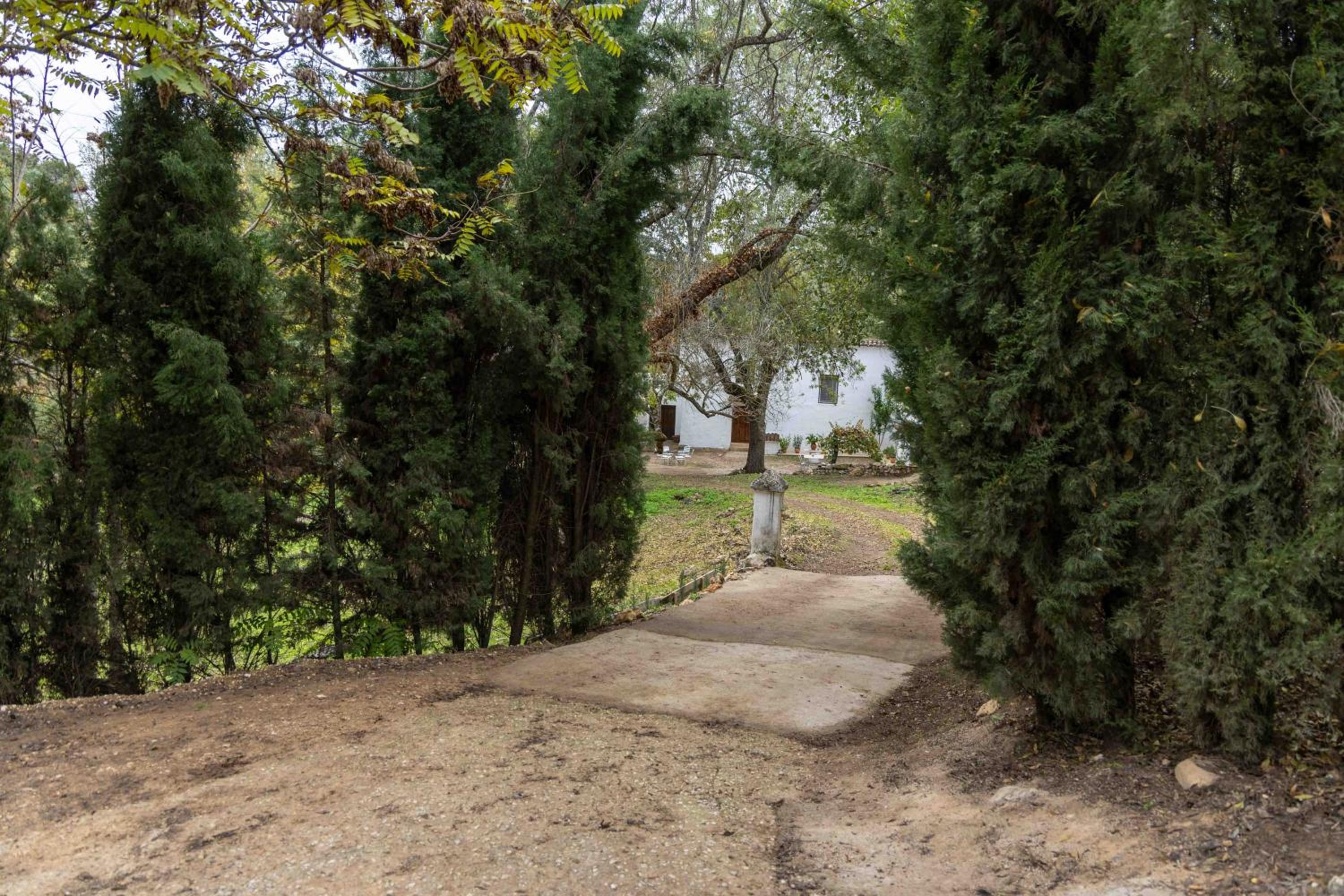 Molino de Gris Cazorla
