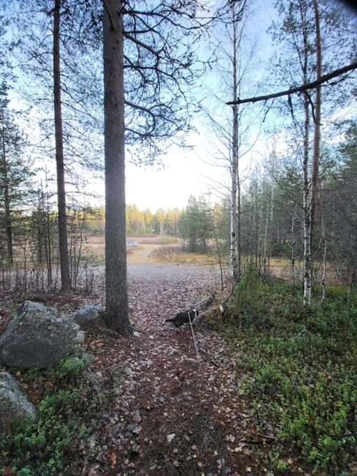 Two bedroom apartment right next to Santapark