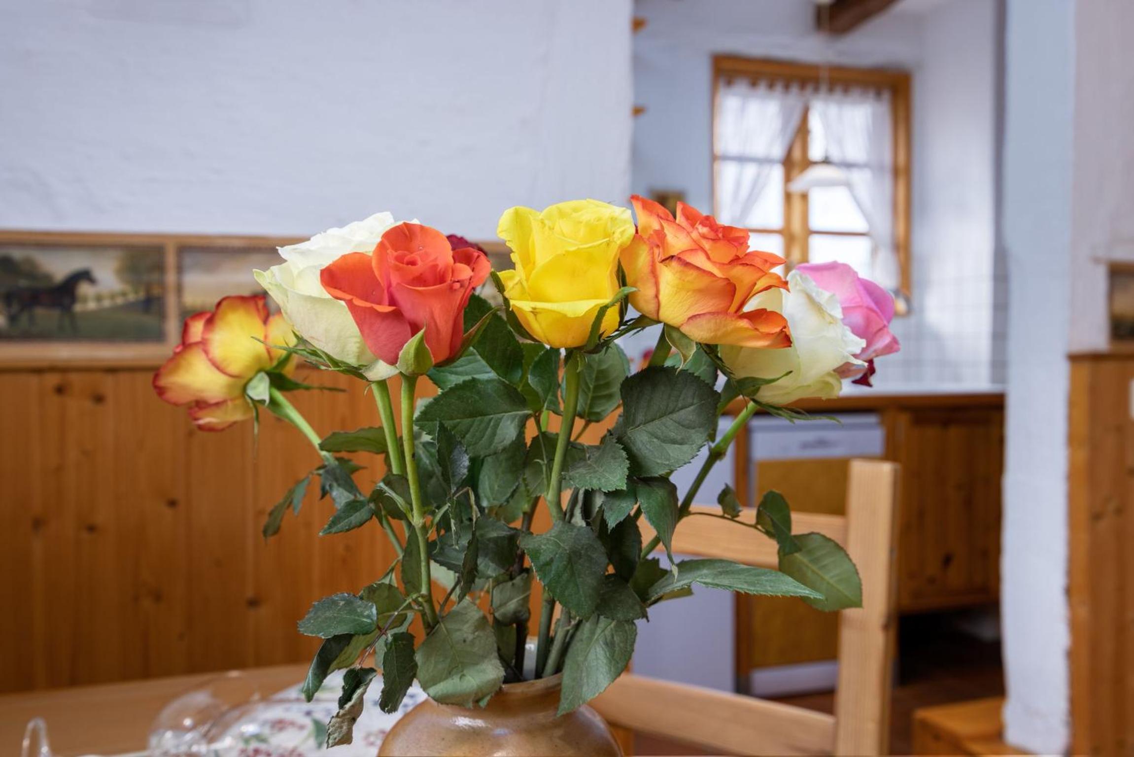 Ferienhof Schwalbennest OFC 24