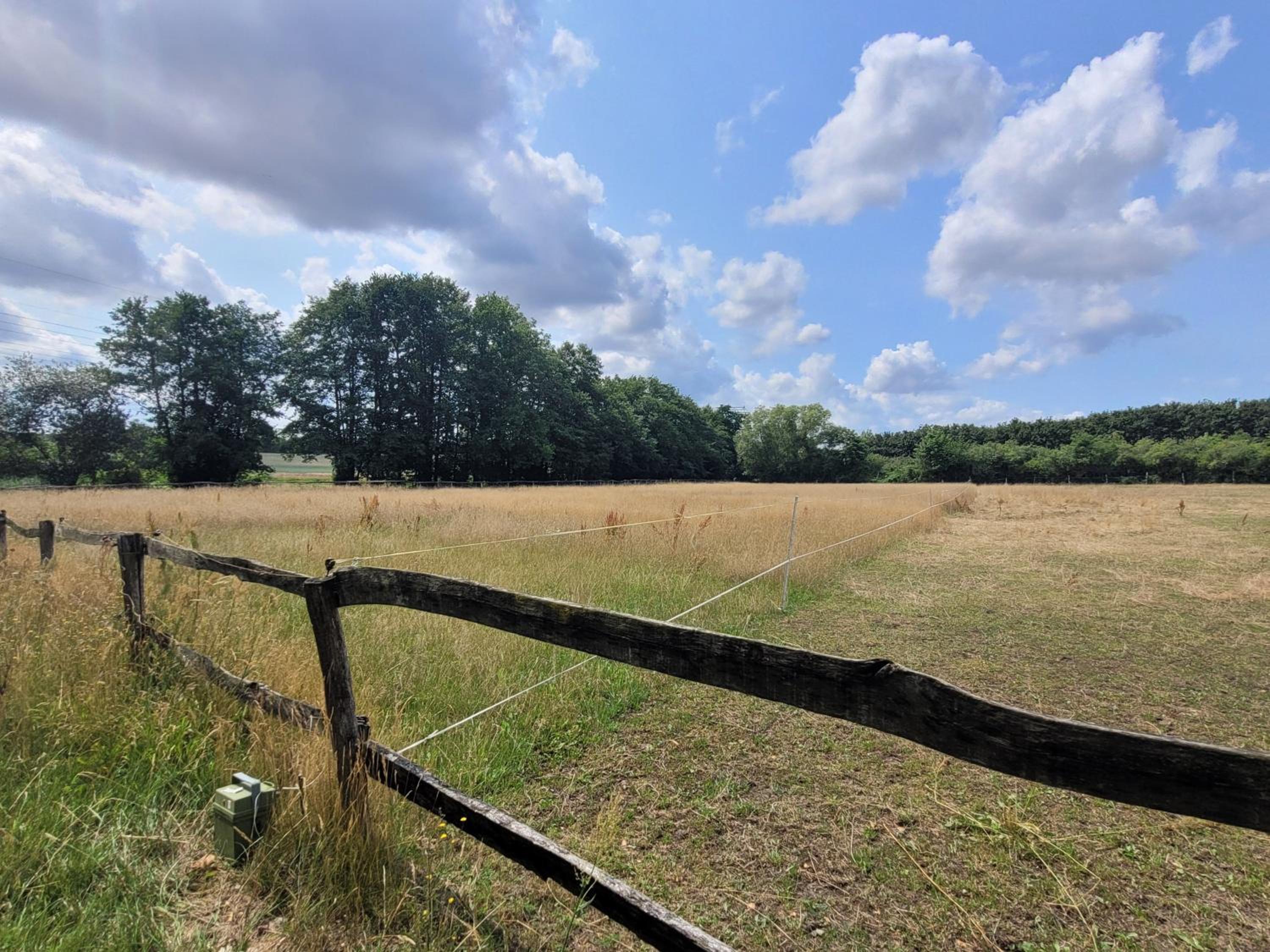 Ferienhof Schwalbennest OFC 24