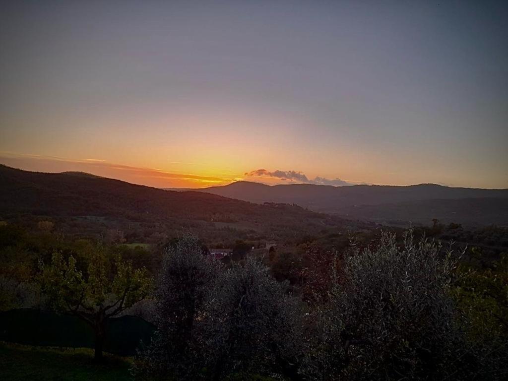 Il Glicine