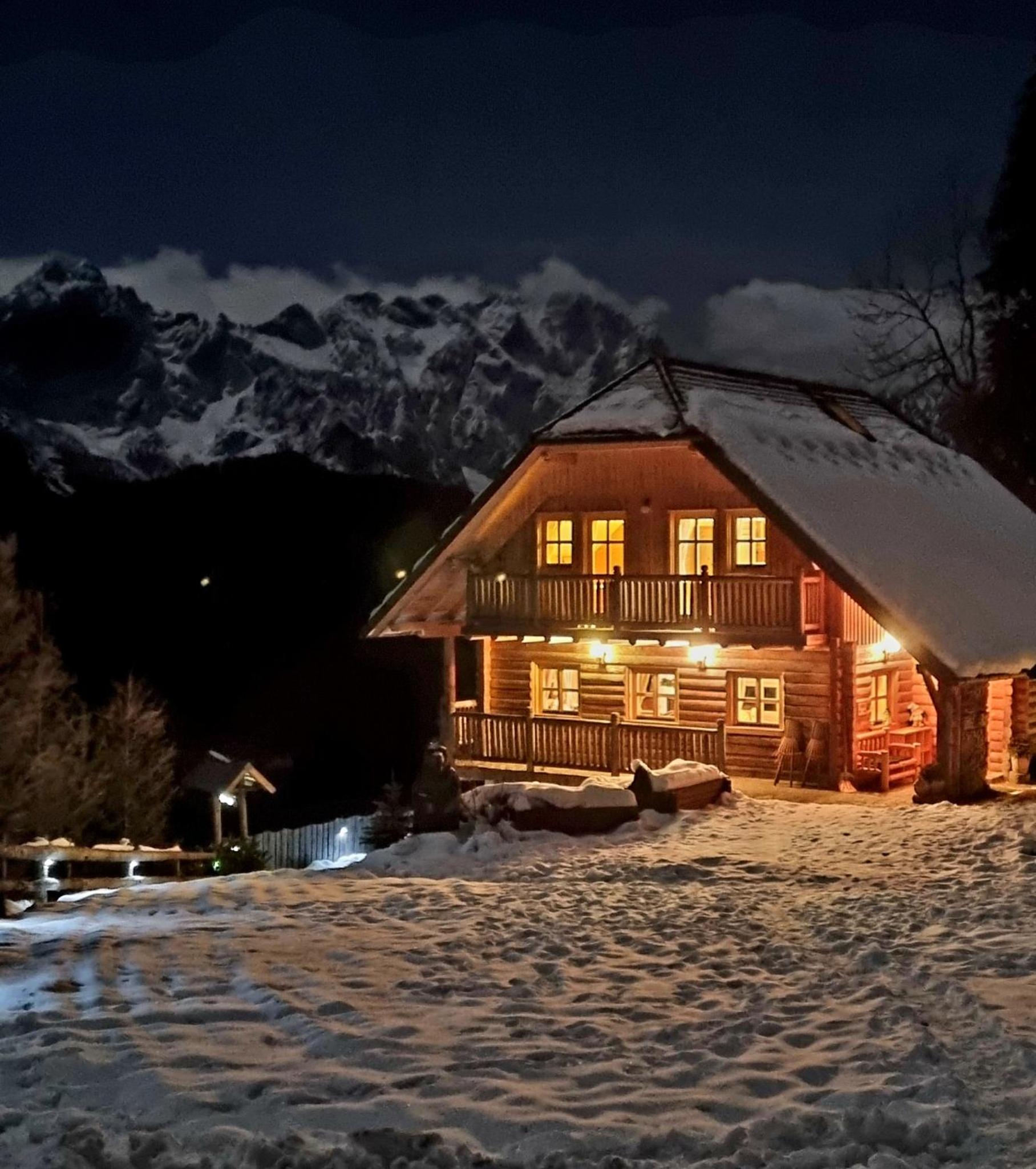 Holiday chalet "ALPINE DREAMS" with PRIVATE WELLNESS view 4