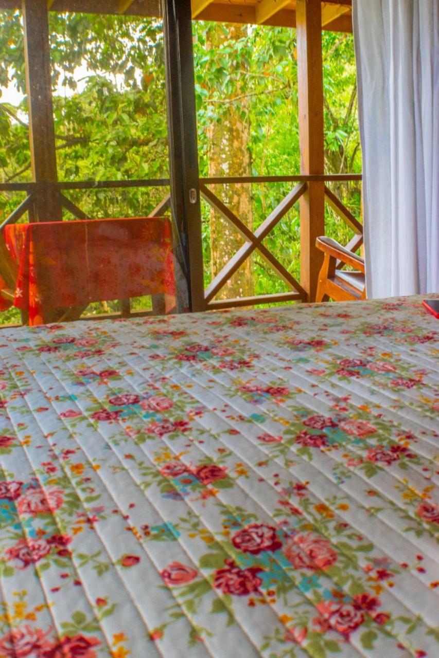 CASITAS GINGER