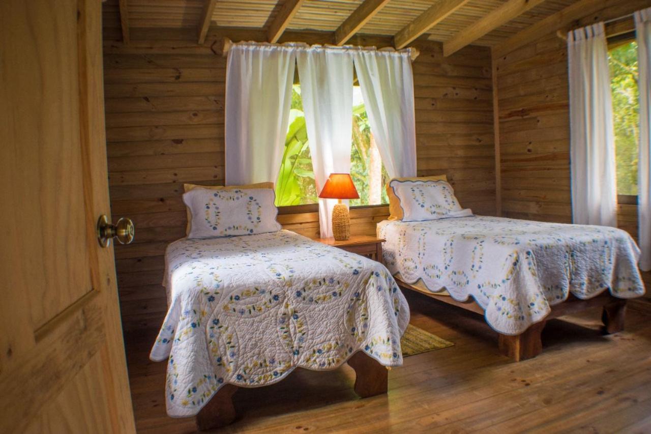 CASITAS GINGER