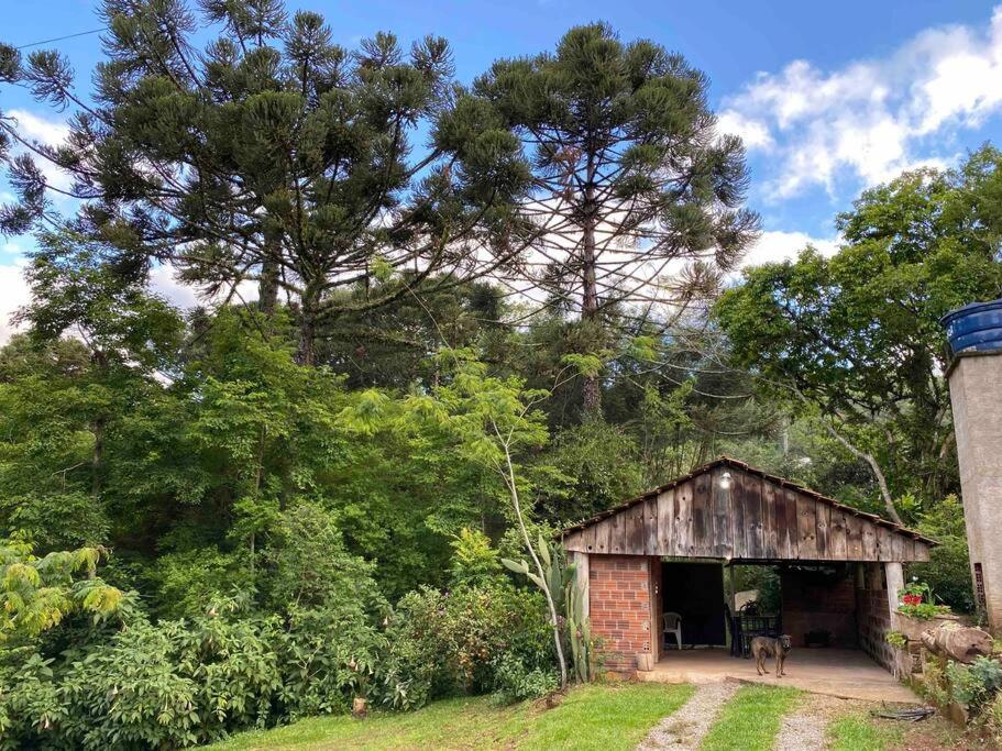 Casa Asle, Gramado