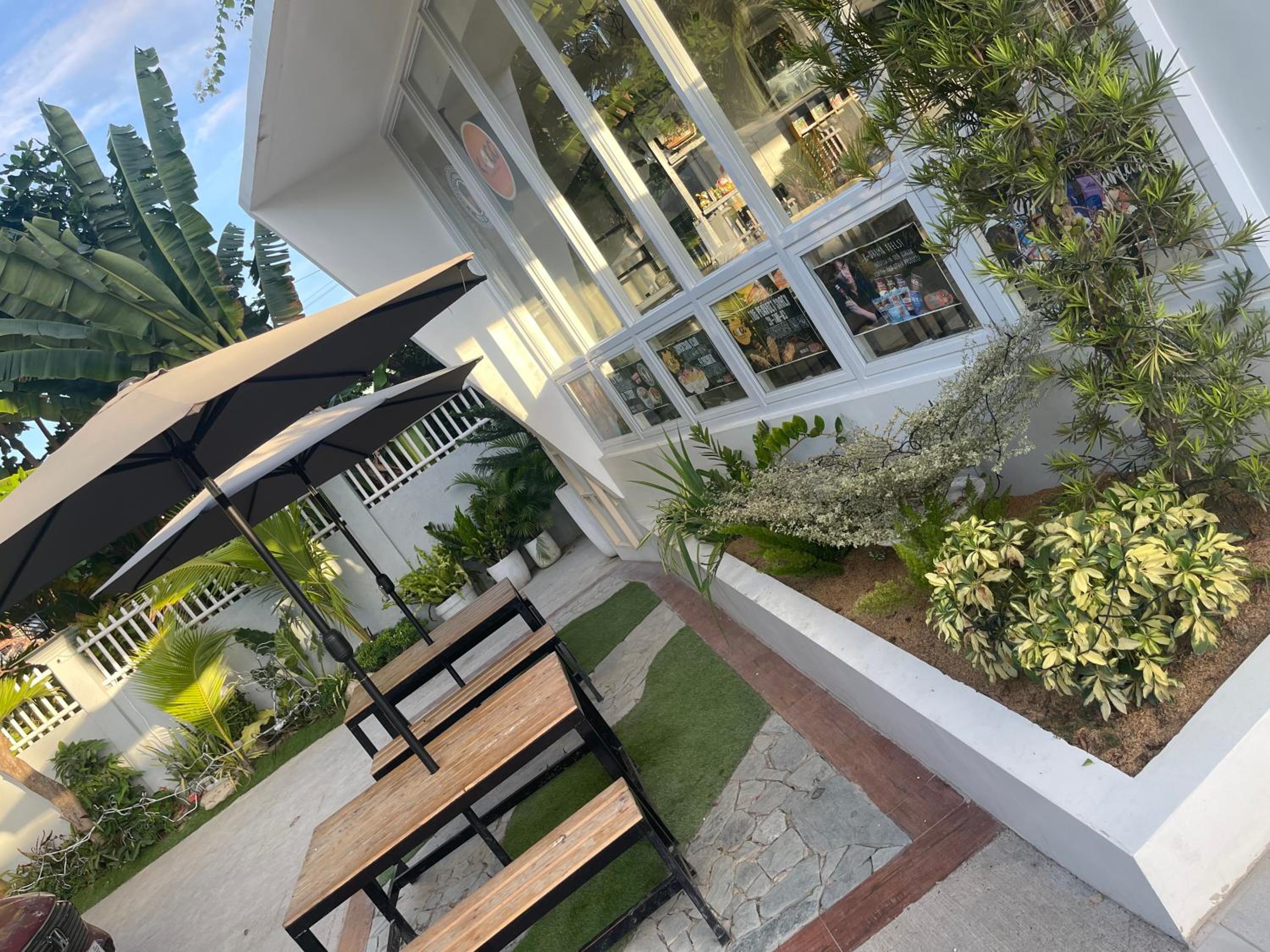 The Garden
