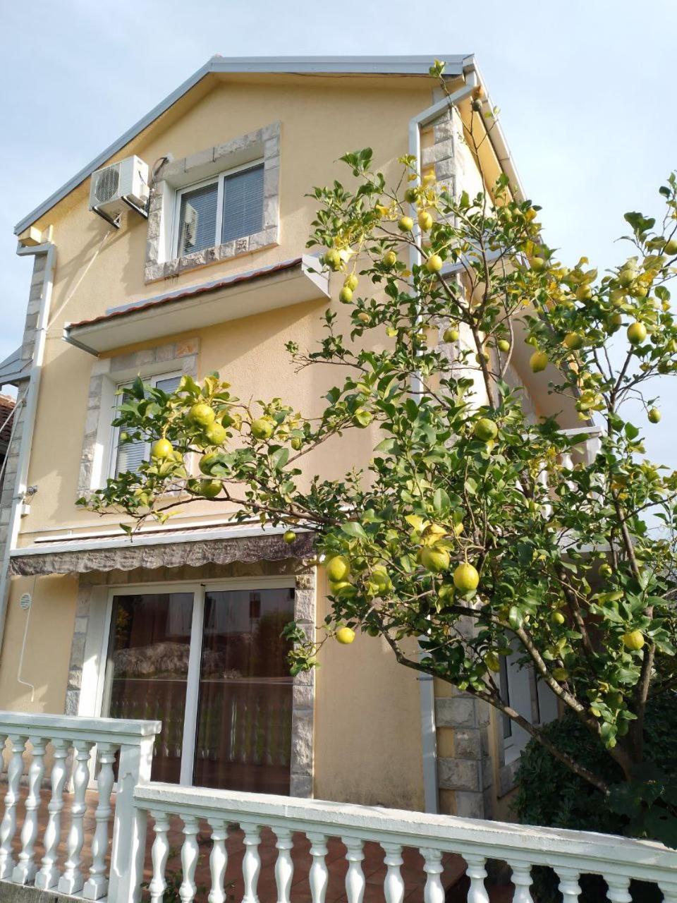 Krasici Sunhouse