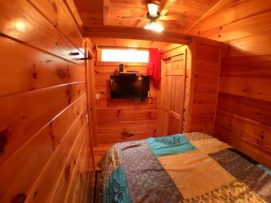 Gypsy Cottage Near the Smokies #13 Esmeralda view 5