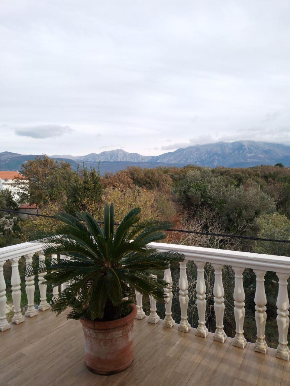 Krasici Sunhouse